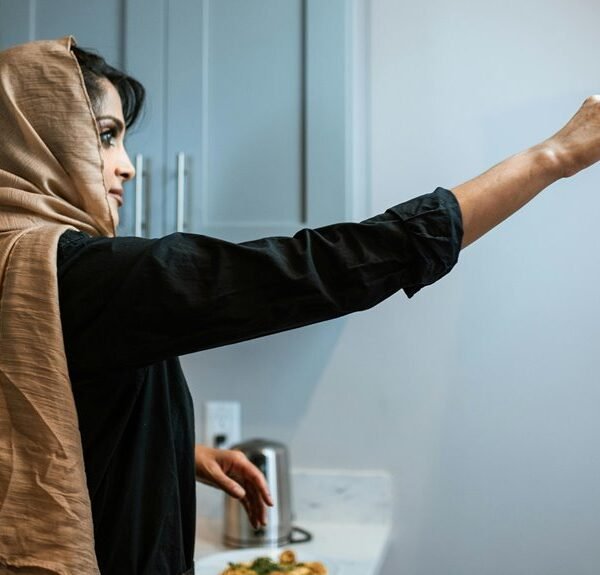 hanimeidhentai platform functionality explained