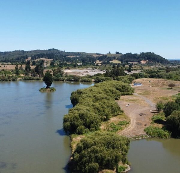 hd movie point overview