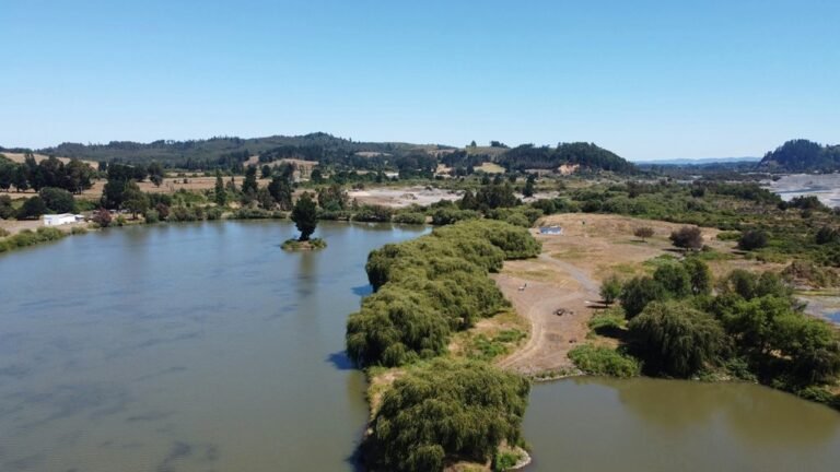 hd movie point overview