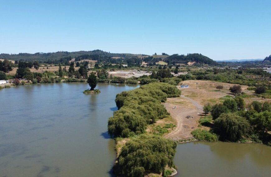 hqporber website overview summary